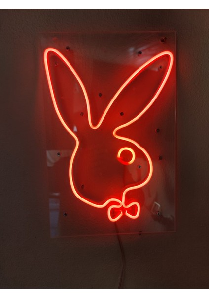 Playboy Neon Şekiller Işaret Neon LED Dekoratif Duvar Aydınlatması Neon Duvar Yazısı