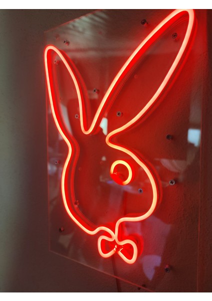 Playboy Neon Şekiller Işaret Neon LED Dekoratif Duvar Aydınlatması Neon Duvar Yazısı