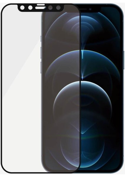 Apple iPhone 12 Pro Max Privacy