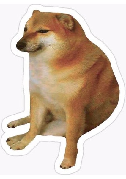 Zobarmarkt Köpek Temalı Defter Ajanda Planner Laptop Sticker, 5 cm