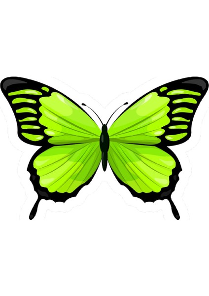 Yeşil Kelebek Sticker
