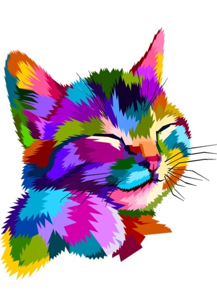 Rengarenk Kedi Sticker