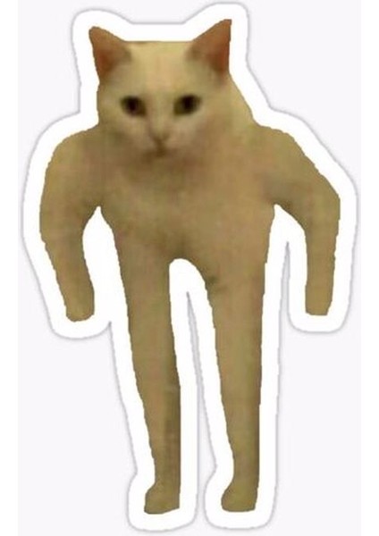 Zobarmarkt Kedi Baskılı Defter Ajanda Planner Laptop Sticker, 5 cm