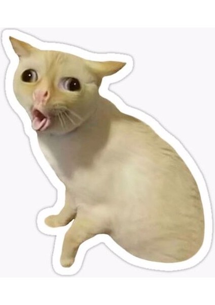 Zobarmarkt Kedi Baskılı Defter Ajanda Planner Laptop Sticker, 4 cm