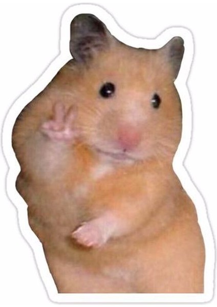 Zobarmarkt Defter Ajanda Planner Laptop Sticker, 5 cm