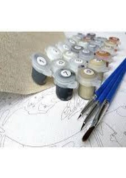 Cam Saksı ve Pempe Çiçekler Sayılarla Boyama Seti Rulo 40 x 50 cm