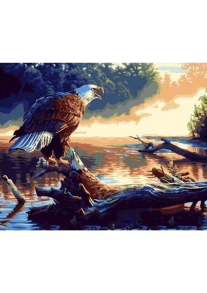 Göldeki Kartal Sayılarla Boyama Seti Rulo 40 x 50 cm