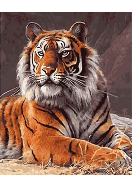 Güçlü Kaplan Sayılarla Boyama Seti Rulo 40 x 50 cm