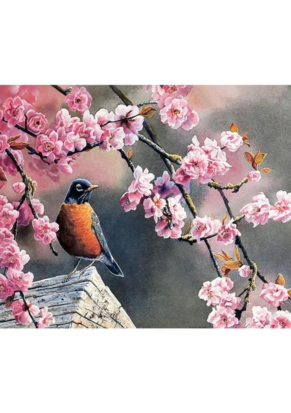 Bahar ve Kuşlar 2 Sayılarla Boyama Seti Kasnaklı 40 x 50 cm