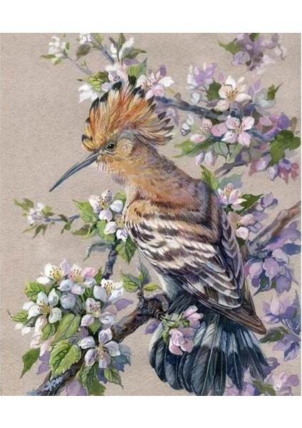 Bahar ve Kuş Sayılarla Boyama Seti Kasnaklı 40 x 50 cm