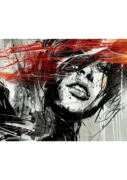 Kadının Çizgileri Sayılarla Boyama Seti Kasnaklı 40 x 50 cm