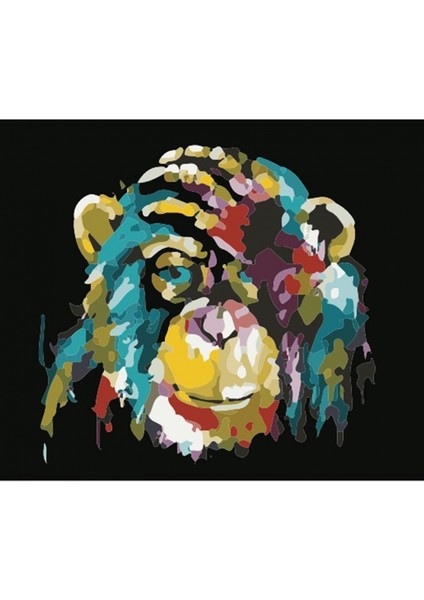 Maymun Renkli Sayılarla Boyama Seti Rulo 40 x 50 cm