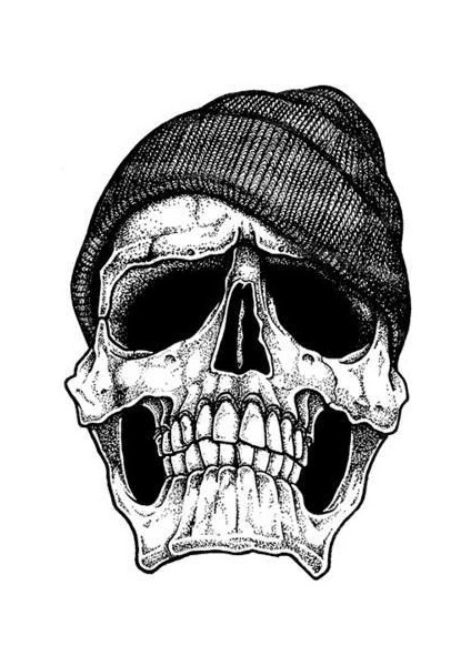 Bereli Kuru Kafa Araç Motor Sticker, 12 cm