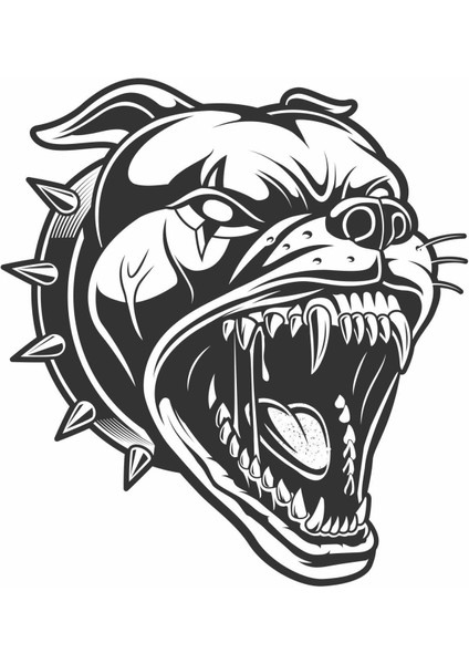 Pıtbull Araç ve Motor Kask Sticker 9 x 10 cm