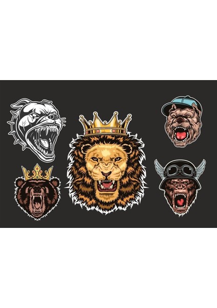 5'li Motorsiklet Kask Sticker Set 1 Adet (12X7,5) 4 Adet (6x6)