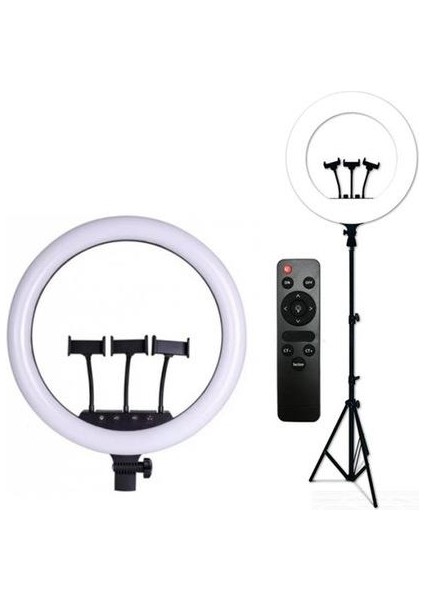 Rl-21 Ring Light Işık 21'' 220V Girişli Uzaktan Kumandalı