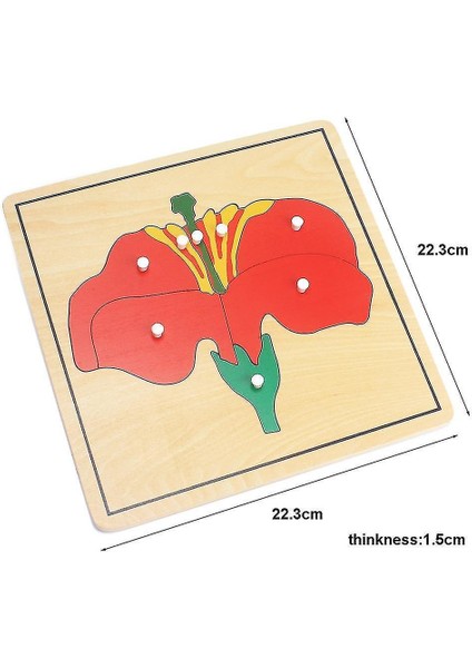 (Kuş) Bebek Oyuncak Çocuk Montessori Çiçek / Bitki / Animalspuzzle Erken Çocukluk Için Çocuk Odun