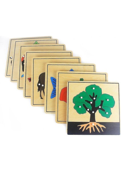 (Kuş) Bebek Oyuncak Çocuk Montessori Çiçek / Bitki / Animalspuzzle Erken Çocukluk Için Çocuk Odun
