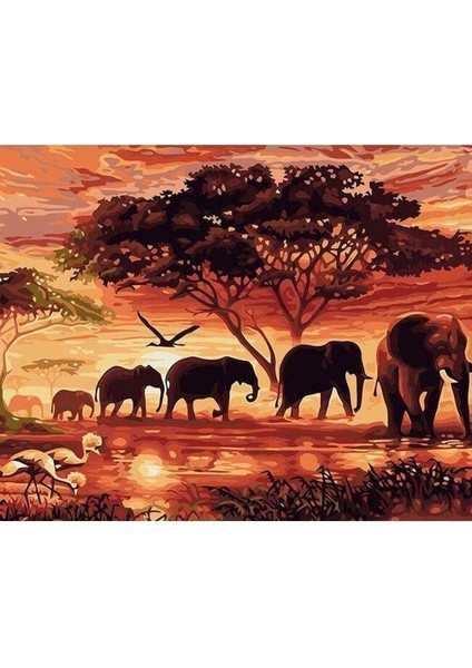 Nehir ve Filler Sayılarla Boyama Seti Rulo 40 x 50 cm
