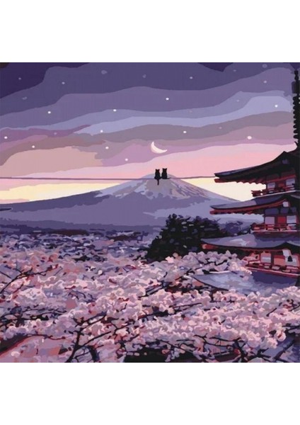 Romantik Çin Kedileri Sayılarla Boyama Seti Rulo 40 x 50 cm