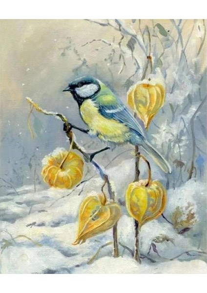 Kış ve Kuş Sayılarla Boyama Seti Kasnaklı 40 x 50 cm