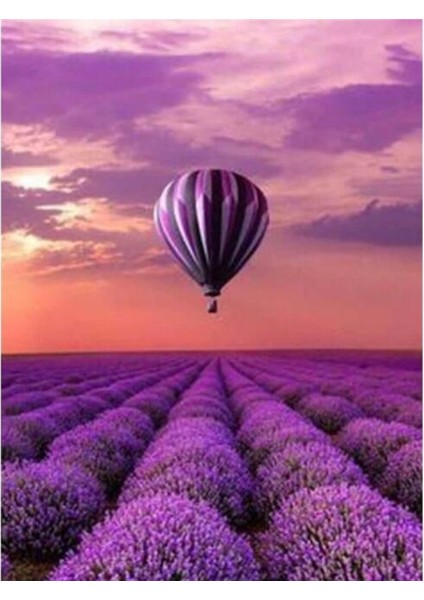 Lavanta Bahçesi ve Balon Sayılarla Boyama Seti Kasnaklı 40 x 50 cm