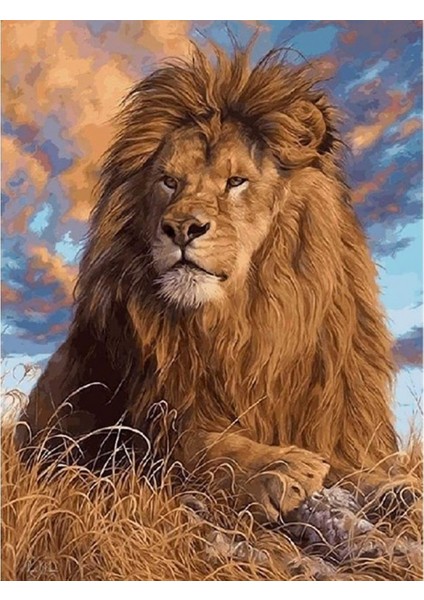 Lider Aslan Sayılarla Boyama Seti Kasnaklı 40 x 50 cm