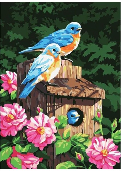 Mavi Kuşlar ve Çiçekler Sayılarla Boyama Seti Kasnaklı 40 x 50 cm
