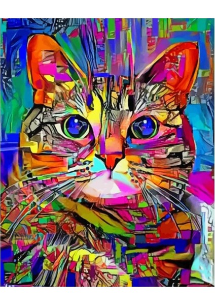 Renkli Kedi 2 Sayılarla Boyama Seti Kasnaklı 40 x 50 cm