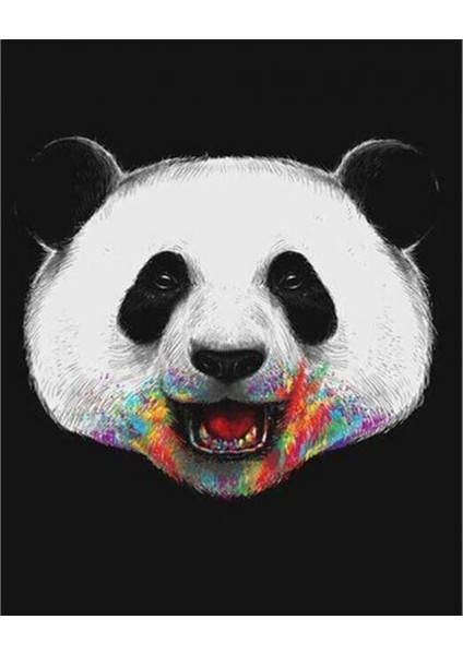 Pandam Renkli Sayılarla Boyama Seti Kasnaklı 40 x 50 cm