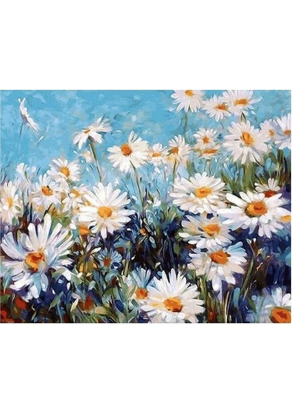 Papatya Tarlası Sayılarla Boyama Seti Kasnaklı 40 x 50 cm