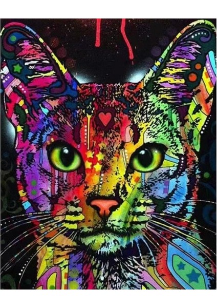 Renkli Kedi 3 Sayılarla Boyama Seti Kasnaklı 40 x 50 cm