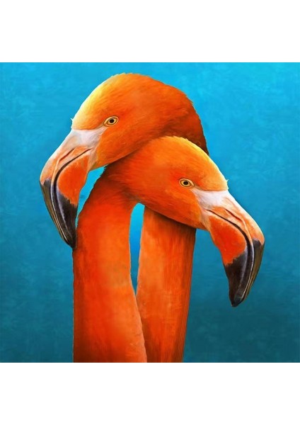 Sarilan Flamingo Sayılarla Boyama Seti Kasnaklı 40 x 50 cm
