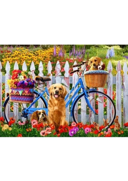 Sevimli Köpekler ve Bisiklet Sayılarla Boyama Seti Kasnaklı 40 x 50 cm