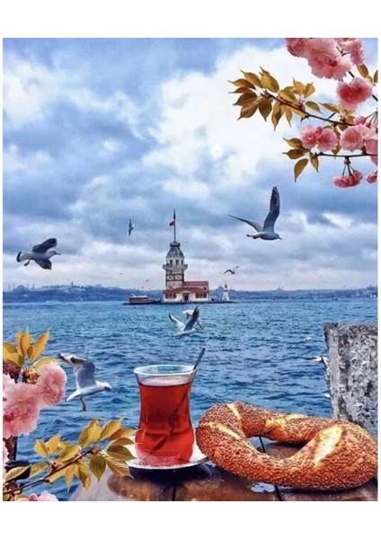 Üsküdar Da Çay Simit Sayılarla Boyama Seti Kasnaklı 40 x 50 cm