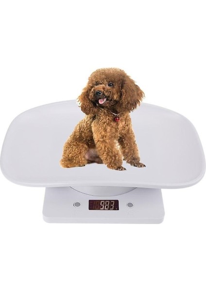 1g 10 kg Pet Köpek Kedi Hayvan Ölçeği Dijital Bebek Bebek Ağırlık Ölçeği (Kg / Oz / Lb)