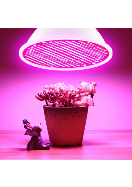 E27 - 48 Leds Iç Mekan Bitkileri Için LED Grow Ampul Kırmızı ve Mavi fiyatları