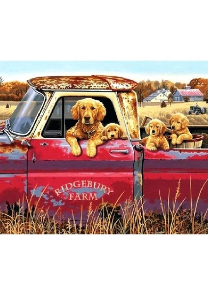Yavru Köpekler Kamyonette Sayılarla Boyama Seti Kasnaklı 40 x 50 cm