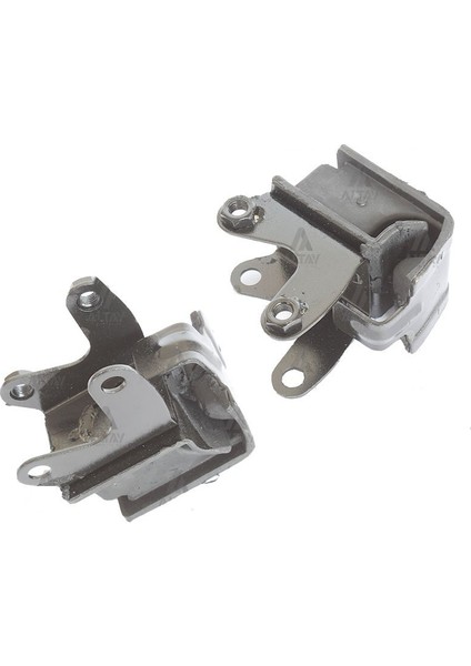 Şanzıman Kulağı Pride