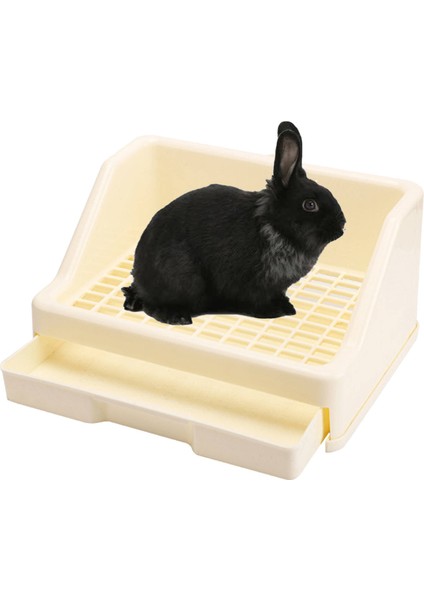 F Fityle Köşe Büyük Tuvalet Kobay Fareler Küçük Hayvan Bej (Yurt Dışından) modelleri