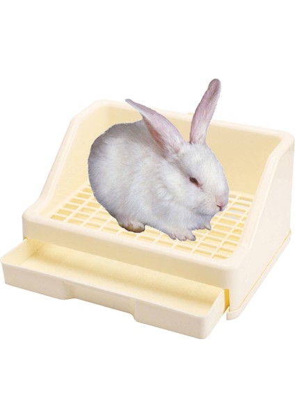 F Fityle Köşe Büyük Tuvalet Kobay Fareler Küçük Hayvan Bej (Yurt Dışından) fırsatları