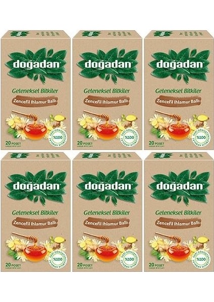 Zencefil Ihlamur Ballı Çay x 6
