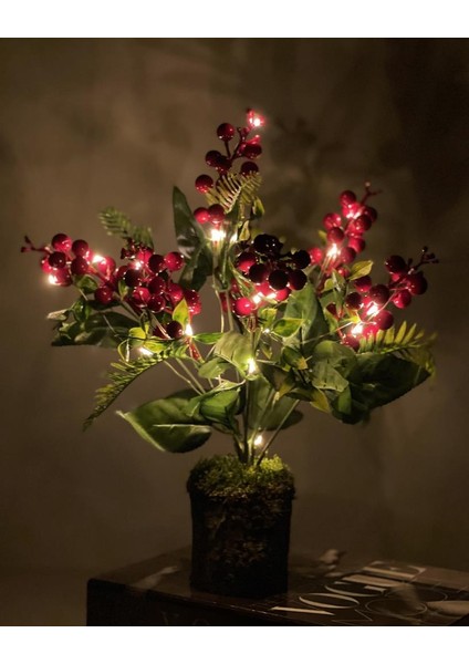 Yapay Çiçek Yılbaşı Çiçeği Kırmızı Kokina Doğal Kütük Odun Saksıda LED Işıklı 3 Fonksiyonlu modelleri