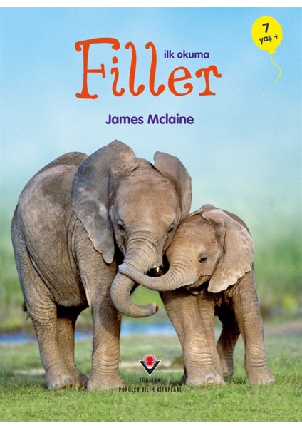 Ilk Okuma - Filler - James Maclaine