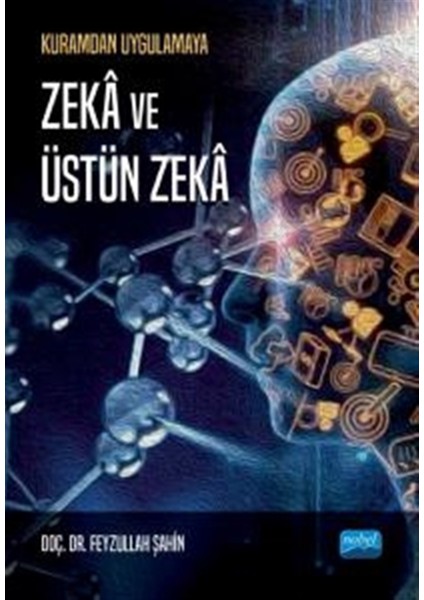 Zeka ve Üstün Zeka - Feyzullah Şahin