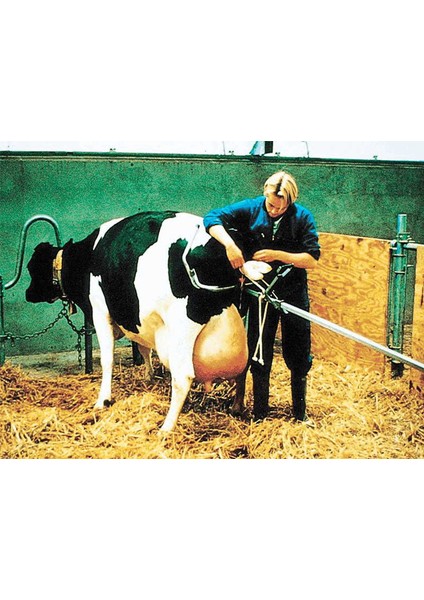 Vink Doğum Krikosu 180 cm modelleri