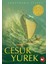 Cesur Yürek - Armstrong Sperry 1