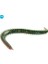 Sandworm 4'' Kokulu Lrf Yemi 10 cm F41 - Camo 4