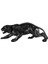 Leopar Biblo 1