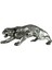 Leopar Biblo 1
